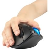Kensington Trackball Pro Fit Ergo TB450 negro/Azul, mano derecha, Trackball, RF Wireless + Bluetooth, 1600 DPI, Negro, Azul