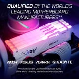 Kingston FURY FURY Beast 32 GB 6000 MT/s DDR5 CL36 DIMM White RGB EXPO, Memoria RAM blanco, 32 GB, 1 x 32 GB, DDR5, 288-pin DIMM