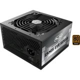 RAIJINTEK 0R30B00010, Fuente de alimentación de PC negro