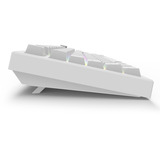 Sharkoon SKILLER SGK55W, Teclado para gaming blanco