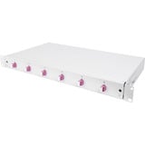 Digitus Caja de empalme de fibra óptica, 1U, equipada, LC, OM4, Caja de fíbra óptica gris