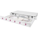 Digitus Caja de empalme de fibra óptica, 1U, equipada, LC, OM4, Caja de fíbra óptica gris
