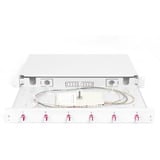 Digitus Caja de empalme de fibra óptica, 1U, equipada, LC, OM4, Caja de fíbra óptica gris