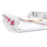 Digitus Caja de empalme de fibra óptica, 1U, equipada, LC, OM4, Caja de fíbra óptica gris