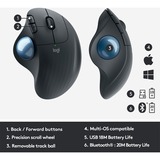 Logitech 910-006221 ratón Oficina mano derecha Bluetooth Trackball 2000 DPI grafito/Azul, mano derecha, Trackball, Bluetooth, 2000 DPI, Grafito