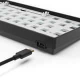 Sharkoon 4044951041879, Teclado para gaming negro