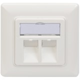 Digitus DN-93801-1 toma de corriente RJ-45 Blanco, Caja de conexiones blanco, RJ-45, Blanco, 80 mm, 5 mm, 80 mm