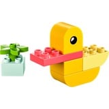 LEGO DUPLO Mi Primer Pato, Juegos de construcción Juego de construcción, 1,5 año(s), Plástico, 7 pieza(s), 64 g