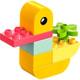 LEGO DUPLO Mi Primer Pato, Juegos de construcción Juego de construcción, 1,5 año(s), Plástico, 7 pieza(s), 64 g