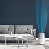 Rowenta Pure Air City PU2840, Purificador de aire blanco