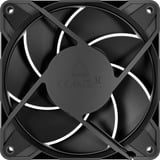 ARCTIC P12 Pro PST LN, Ventilador negro