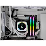 Corsair CMH64GX5M2B6000C40W, Memoria RAM blanco