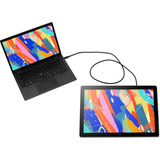 Wacom DTK168, Tableta gráfica negro