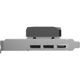 ZOTAC GeForce RTX 5060 Low Profile, Tarjeta gráfica 