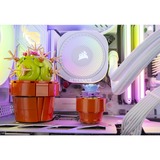 ALTERNATE ALT-ICUECS-INT-003, Gaming-PC blanco/Transparente