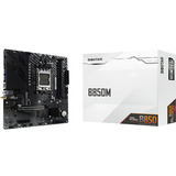 Biostar B850MT2E DJ, Placa base 