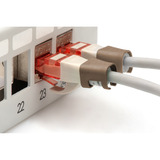 Digitus Clips de colores para cables de parcheo, Grapas de cable marrón