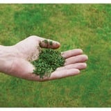 EINHELL GC-PM 51/3 S HW-E Cortacésped de empuje a gasolina Gasolina Negro, Rojo rojo/Negro, Cortacésped de empuje a gasolina, 51 cm, 1 L, 70 L, Tracción en ruedas traseras, 4 rueda(s)