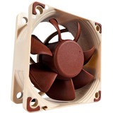 Noctua NF-A6X25 FLX sistema de refrigeración para ordenador Carcasa del ordenador Ventilador 6 cm Marrón marrón/blanco, Ventilador, 6 cm, 1600 RPM, 3000 RPM, 19,3 dB, 29,2 m³/h