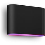 Philips Hue 929003665001, Luz de LED negro