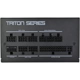 SilverStone SST-TR650R-GM, Fuente de alimentación de PC negro