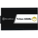 SilverStone SST-TR650R-GM, Fuente de alimentación de PC negro