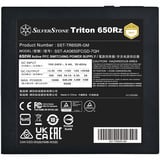 SilverStone SST-TR650R-GM, Fuente de alimentación de PC negro