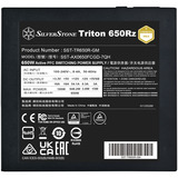 SilverStone Triton 650Rz, Fuente de alimentación de PC negro
