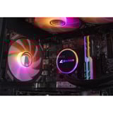 ALTERNATE Gaming-PC Special Edition • RTX 4060 • Intel® Core™ i5-12400F • 32 GB RAM negro/Transparente