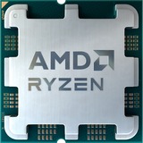 AMD 100-000000597, Procesador Tray
