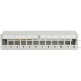 Digitus Panel de parcheo modular de escritorio, 12 puertos, apantallado, Patch Panel gris claro