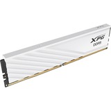 ADATA LANCER BLADE DDR5 módulo de memoria 32 GB 1 x 32 GB ECC, Memoria RAM blanco, 32 GB, 1 x 32 GB, DDR5, 6000 MHz, 288-pin DIMM, Blanco