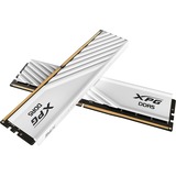 ADATA Lancer Blade módulo de memoria 32 GB 2 x 16 GB DDR5 6400 MT/s 288-pin DIMM ECC, Memoria RAM blanco, 32 GB, 2 x 16 GB, DDR5, 288-pin DIMM
