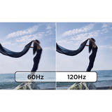 Lenovo ThinkVision T24D-40, Monitor LED negro