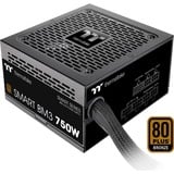 Thermaltake SMART BM3 750W, Fuente de alimentación de PC negro