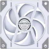 Phanteks D30-120 PWM Reverse DRGB, Ventilador blanco