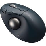 Kensington Trackball Pro Fit Ergo TB550 negro/Azul, mano derecha, Trackball, RF Wireless + Bluetooth, 1600 DPI, Negro, Gris
