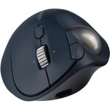 Kensington Trackball Pro Fit Ergo TB550 negro/Azul, mano derecha, Trackball, RF Wireless + Bluetooth, 1600 DPI, Negro, Gris
