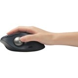 Kensington Trackball Pro Fit Ergo TB550 negro/Azul, mano derecha, Trackball, RF Wireless + Bluetooth, 1600 DPI, Negro, Gris