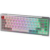 RAIJINTEK 0R40B00276, Teclado para gaming plateado
