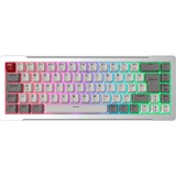 RAIJINTEK MGA-68, Teclado para gaming plateado