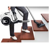 Bosch BGS05A222, Aspiradora de suelo blanco/Negro