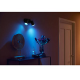Philips Hue White & Color Ambiance Fugato Foco Doble, Lámpara negro