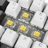 Sharkoon 4044951041886, Teclado para gaming blanco