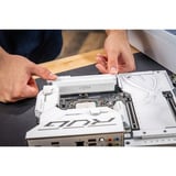 Crucial CP2K32G60C40U5W, Memoria RAM blanco