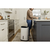 Meaco Dry Arete Two 20L Deshumidificador de compresor y purificador de aire blanco/Negro