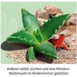 KOSMOS 45496907 juguete y kit de ciencia para niños, Caja de experimentos Kit de experimentos, Botánica, 6 año(s)