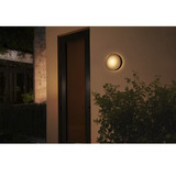 Philips Hue White & Color Ambiance Daylo Lámpara de pared exterior, Luz de LED plateado