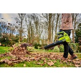 Ryobi RY36BLA-0, Soplador de hojas verde/Negro
