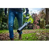Ryobi RY36BLA-0, Soplador de hojas verde/Negro